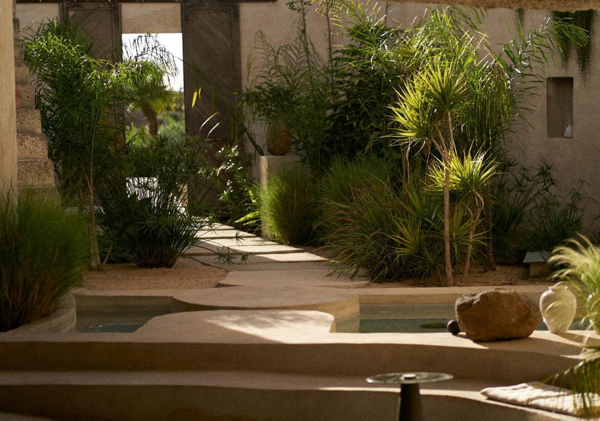 Ecohotel El Agua Arico el Nuevo 외부 사진