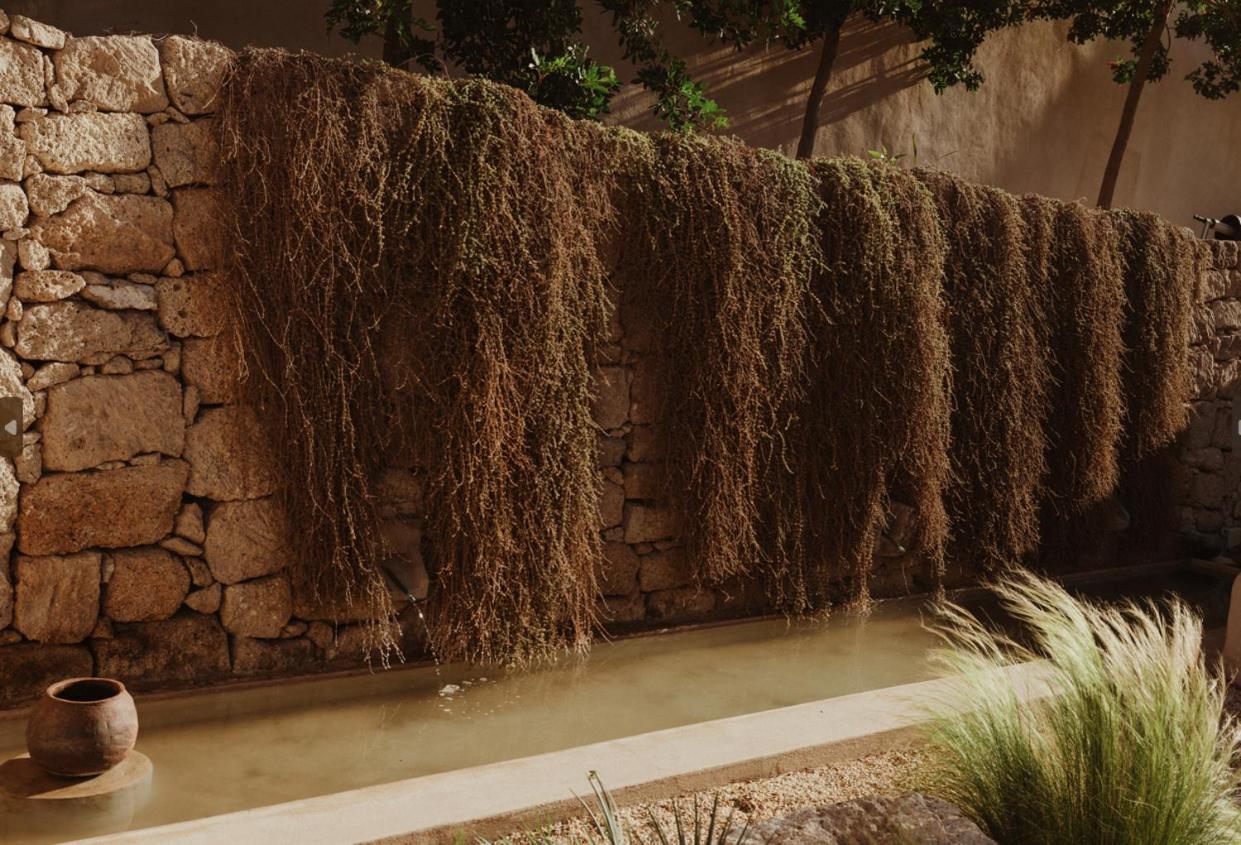 Ecohotel El Agua Arico el Nuevo 외부 사진