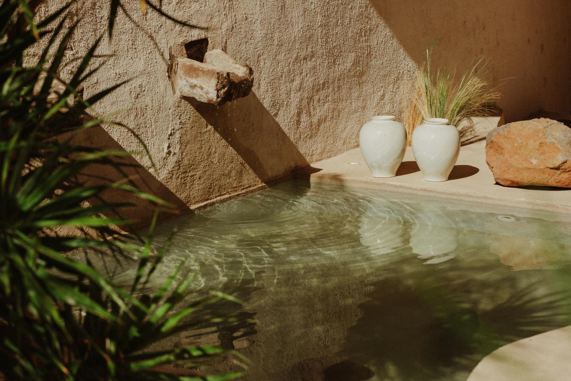 Ecohotel El Agua Arico el Nuevo 외부 사진
