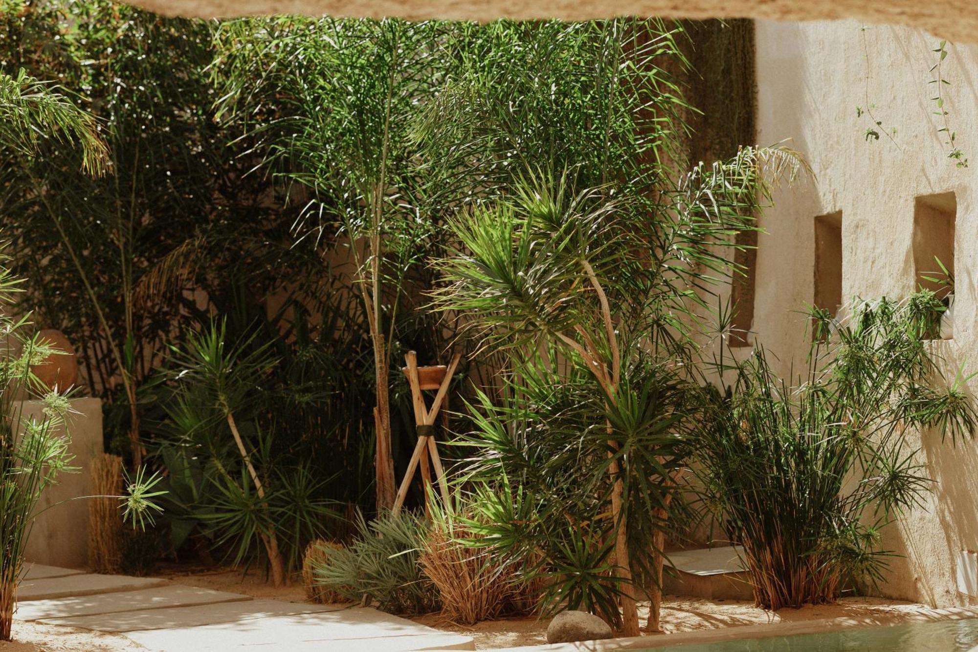 Ecohotel El Agua Arico el Nuevo 외부 사진