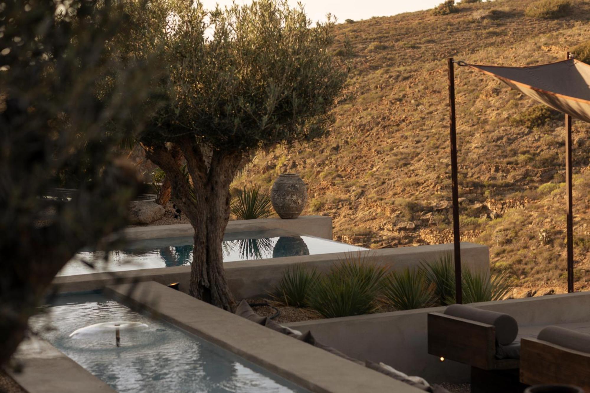 Ecohotel El Agua Arico el Nuevo 외부 사진